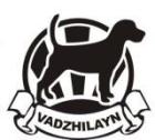 VadzhiLayn