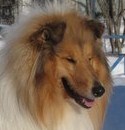 Ларик